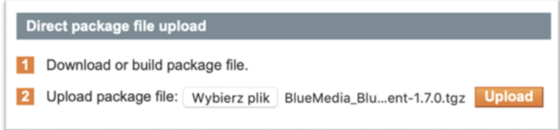 Direct package file upload
